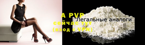 эйфоретик Елизово